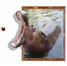 Top Ten Applications Of UV Printer Machines